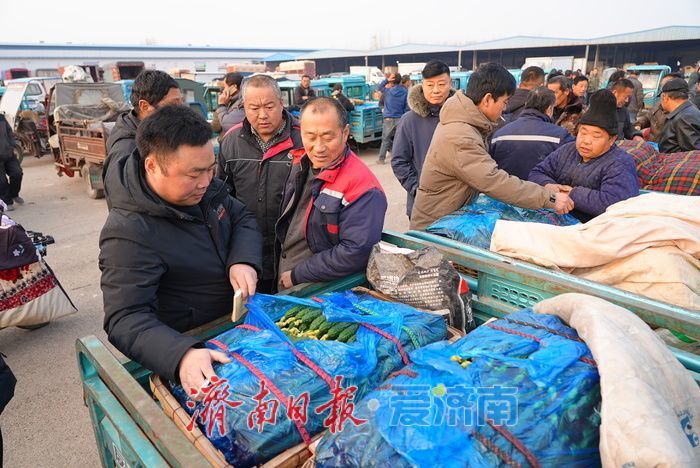 晨光下的车水马龙：黄瓜批发市场开市忙