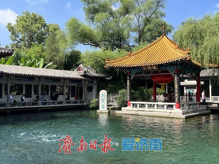 喜提三连涨！连日降雨给力，趵突泉水位逐日攀升