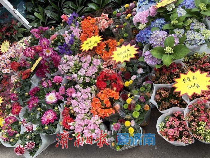 假期最后一天逛不停！花鸟鱼宠齐热销，小朋友成逛市主力
