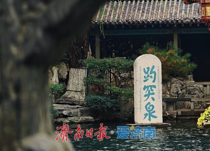 趵眼｜四度入选“活力之城”，济南靠的是“养”