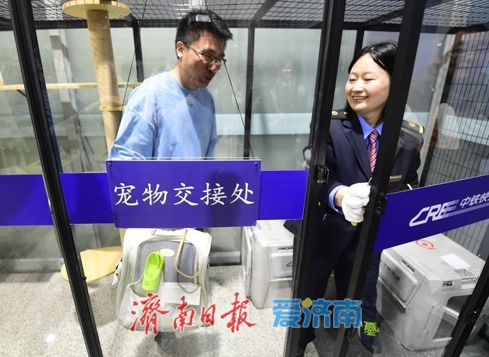3只“毛孩子”坐高铁到济南西站！全国首趟高铁宠物托运列车来了