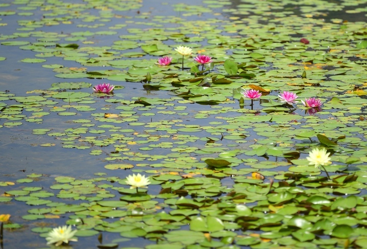 夏日休闲好去处，打卡最美华山湖
