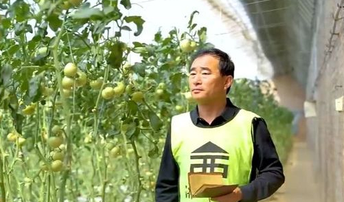 【AI典故新说・劳动最光荣】从舜耕历山到绿色农业 “追梦人”，陈德国 深耕不辍绘新田