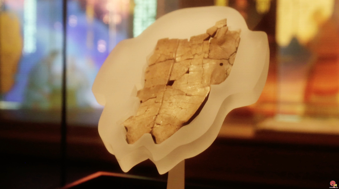 国宝风华丨大辛庄遗址：商代东方第一都