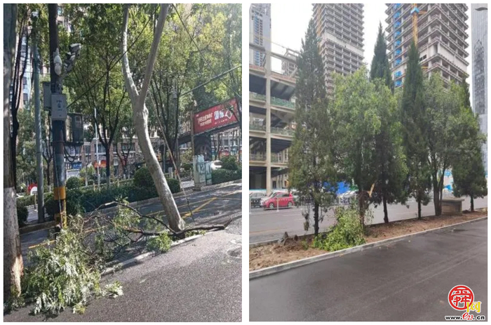 全市智慧城管信息采集员温暖故事③ 