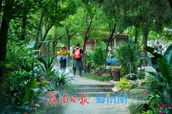 雨林溪谷，清凉一夏！生态避暑胜地点燃端午文旅热潮