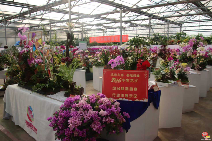 花漾齐鲁·喜迎新春 2026年宵花市盛大开幕