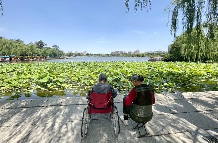 济南：绿柳迎风 红荷出水