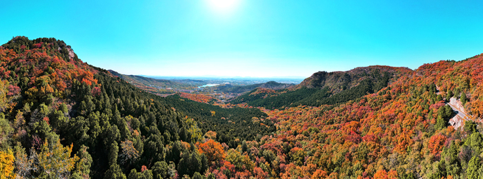 层林尽染换“彩妆”！大舟山打翻秋日“调色盘”