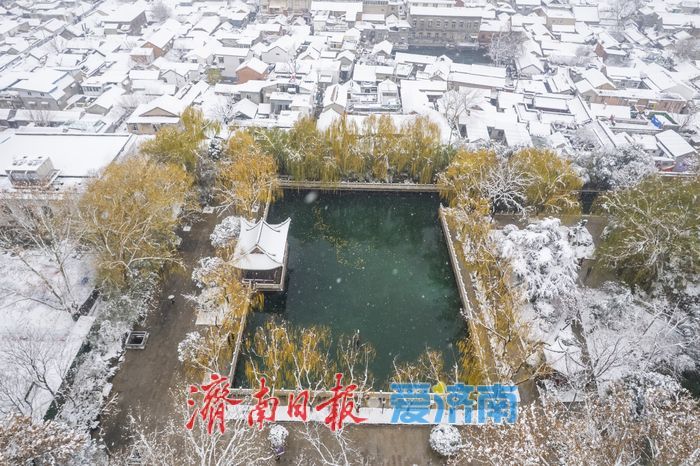 一年四季 泉在济南丨济南珍珠泉银装素裹更显灵动