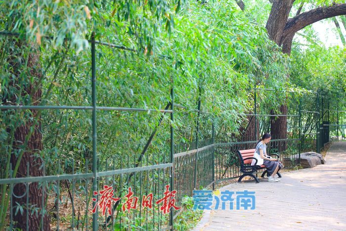夏日寻凉正当时 树荫露营解锁都市微度假新方式