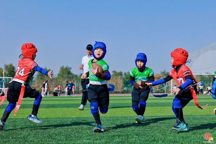 跑起来、跳起来、动起来，让孩子们体魄强起来，山东省第四届幼儿体育大会在济南举行