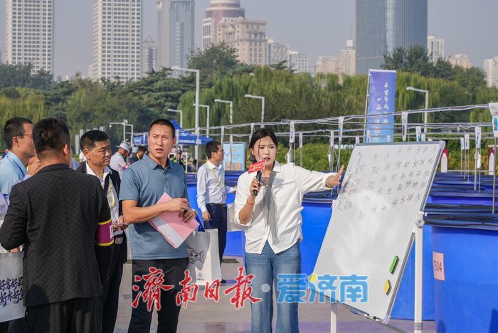 首届“好鲤山东”锦鲤大赛泉城开赛