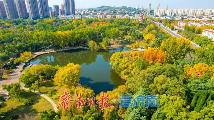 莱芜红石公园秋意浓 红石秋叶绘就多彩画卷