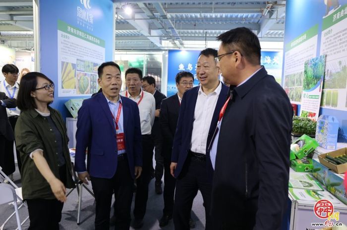 济南“泉水人家”品牌亮相 第二届山东绿色蔬菜产业博览会