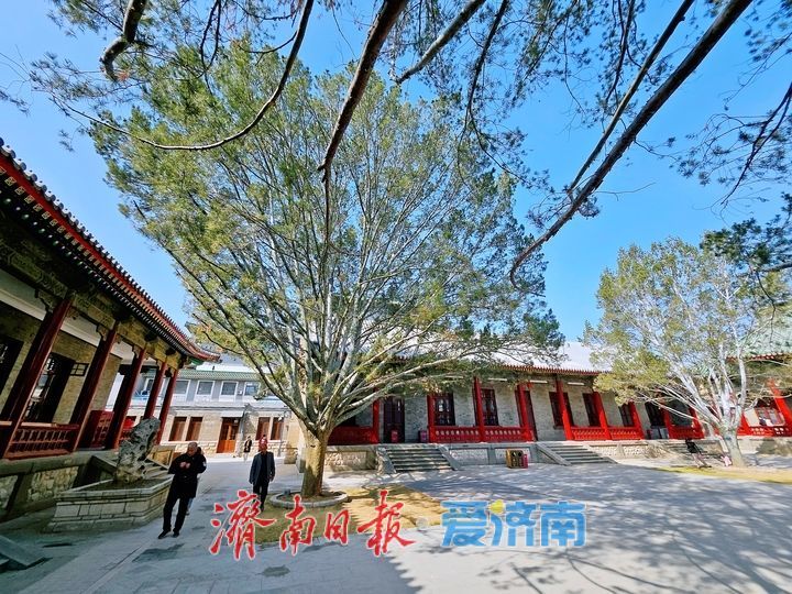 古松映古建 文脉润泉城