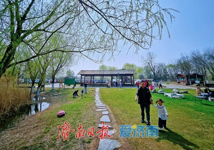 春染湿地美如画 生态济西迎客来
