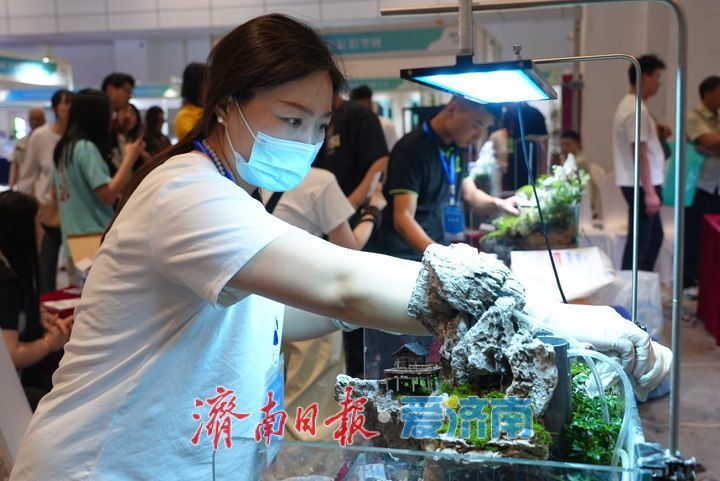 方寸之间藏天地！展会水陆缸微景观造景大赛激战正酣，高手齐聚济南