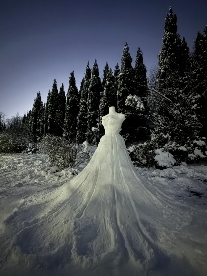 济南冬雪中，5名大一学生6小时打造浪漫“雪婚纱”