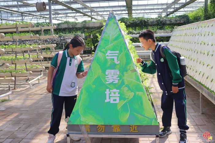脚下踩泥土 心中藏成长——济南市天桥区枫景小学开启“‘玉’见小美好 节约大行动”主题实践课程