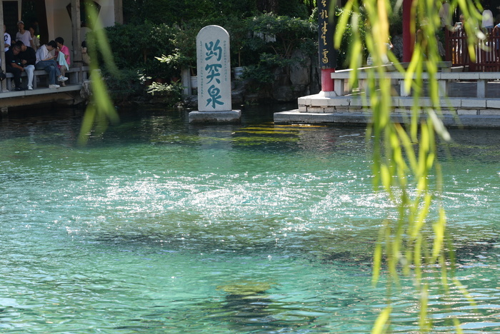 “泉”在济南过暑假｜水位“十连涨”！济南“趵突腾空”胜景重现