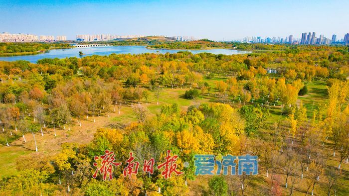 一年四季 泉在济南丨秋暮意正酣 华山湖公园秋意正浓