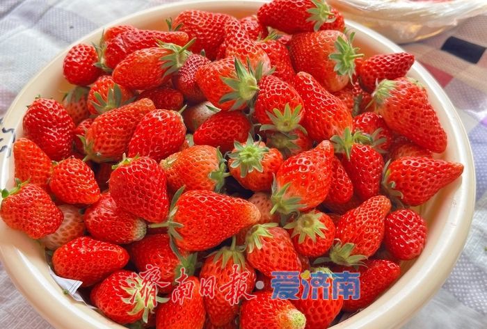 坐地铁“赶”滩头大集！香椿芽抢“鲜”上市 济南市民争相“打包春天”