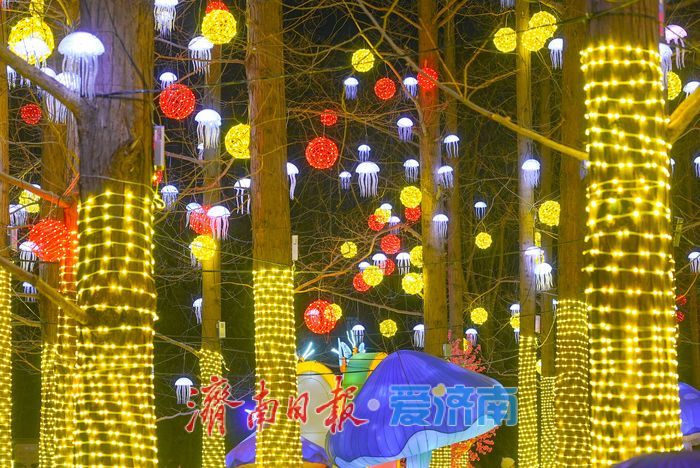 一年四季 泉在济南丨年味拉满！五龙潭公园璀璨花灯点亮泉城新春