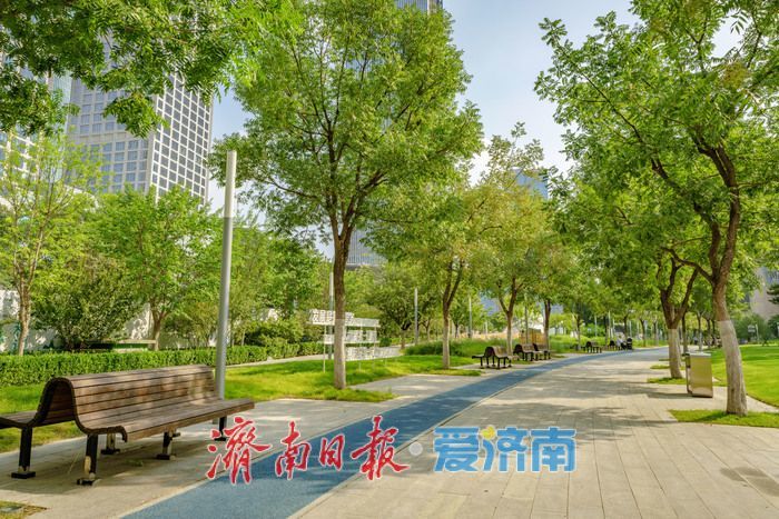 一年四季 泉在济南丨济南绸带公园：都市里的生态休闲乐园