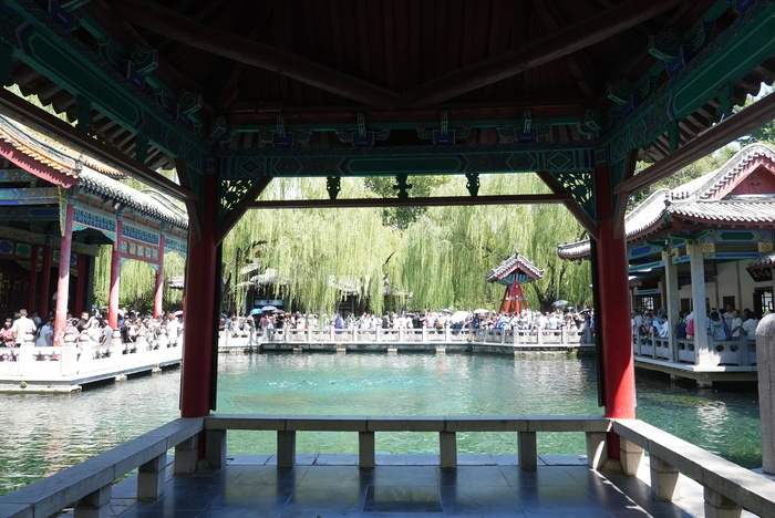 “泉”在济南过暑假｜水位“十连涨”！济南“趵突腾空”胜景重现