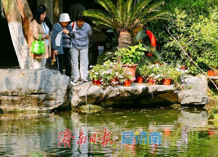 无忧泉边菊初绽，一城秋色待君来