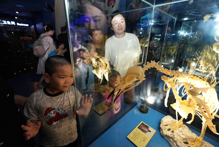 暑期接近尾声 游客“海底”觅清凉