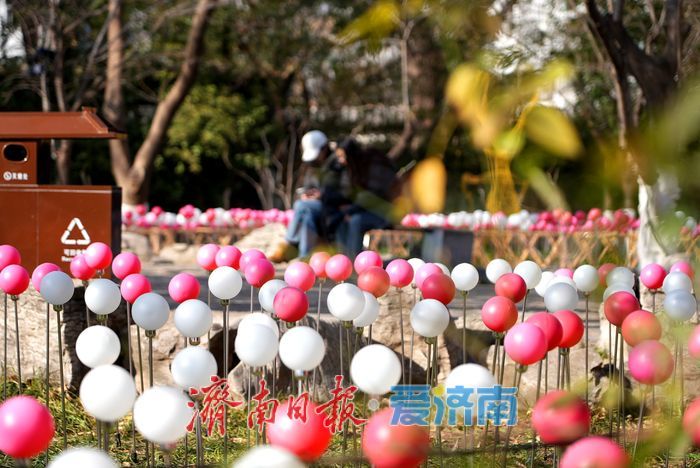 新春氛围渐浓！五龙潭迎春花灯布置即将收尾 花灯造型萌气十足