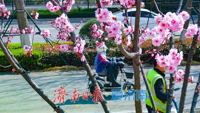 一年四季 泉在济南丨周末遛娃新地标，绿色共享 + 文化互动一站搞定