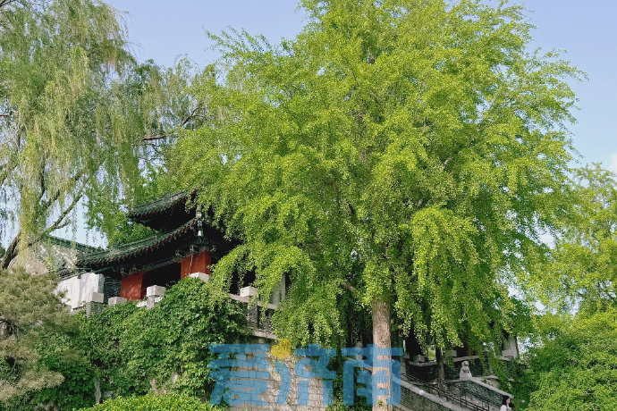 升温持续！济南明日最高气温30℃，新一轮降水降温预定周五上线