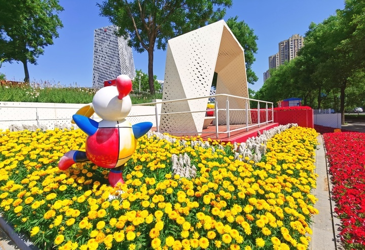 济南“七彩花田”初夏绽新颜