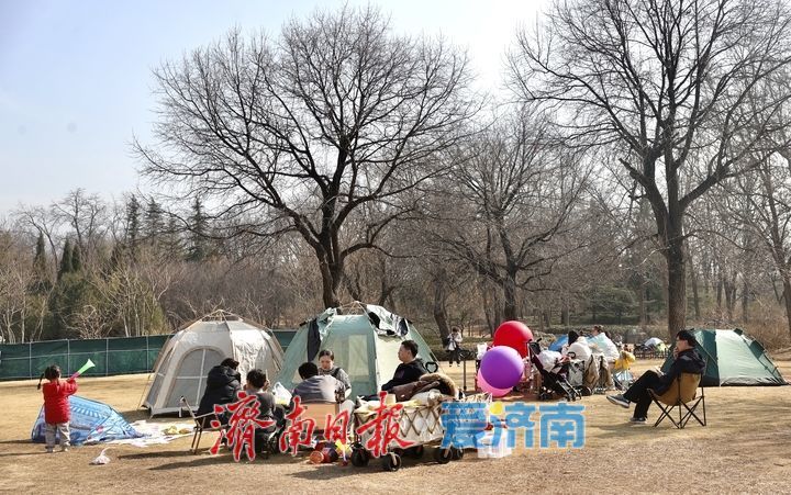 天暖人欢畅 去济南森林公园露营吧