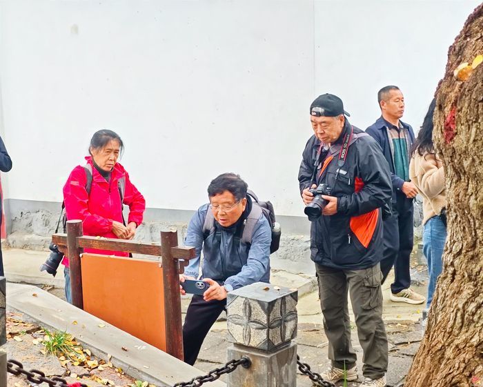 “守护百年古树 定格美丽乡愁” 济南古树乡村采风纪实