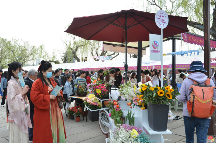 花漾齐鲁·喜迎新春 2026年宵花市盛大开幕