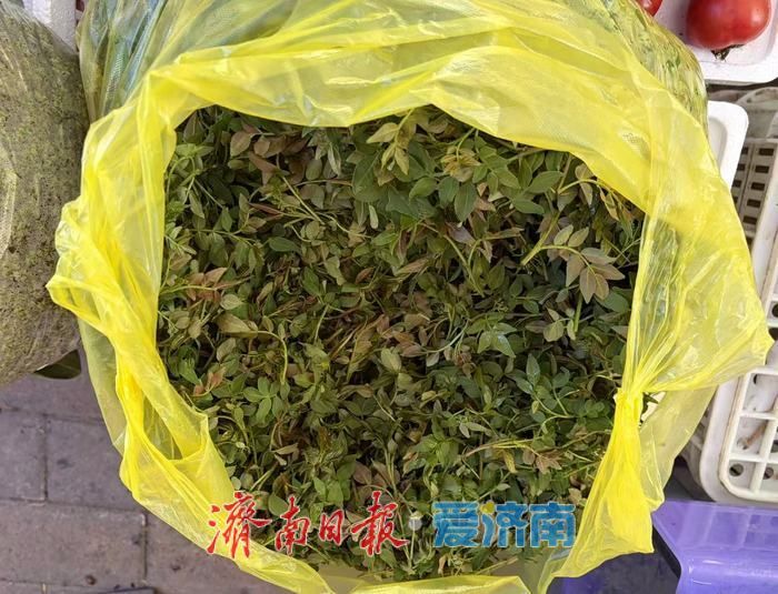 春风送鲜，南部山区春菜、菜苗备受青睐