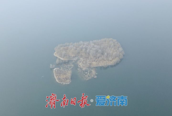 泉城年味气氛组已就位，是“蛇”候过年啦！