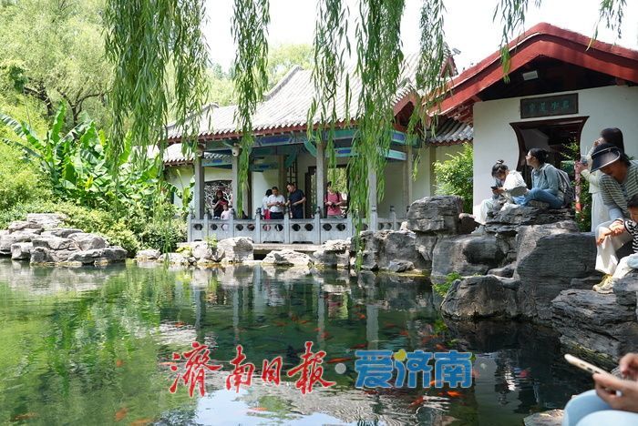 一年四季 泉在济南丨“泉如其名”，畅享无忧泉畔惬意时光