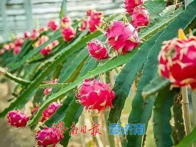 国庆觅趣指南：邂逅泉韵山色，乐享都市烟火