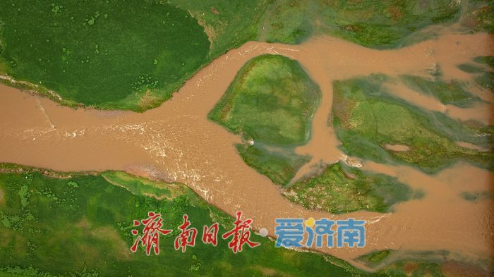 一年四季 泉在济南丨济南卧虎山水库南岸草坪成生态新名片