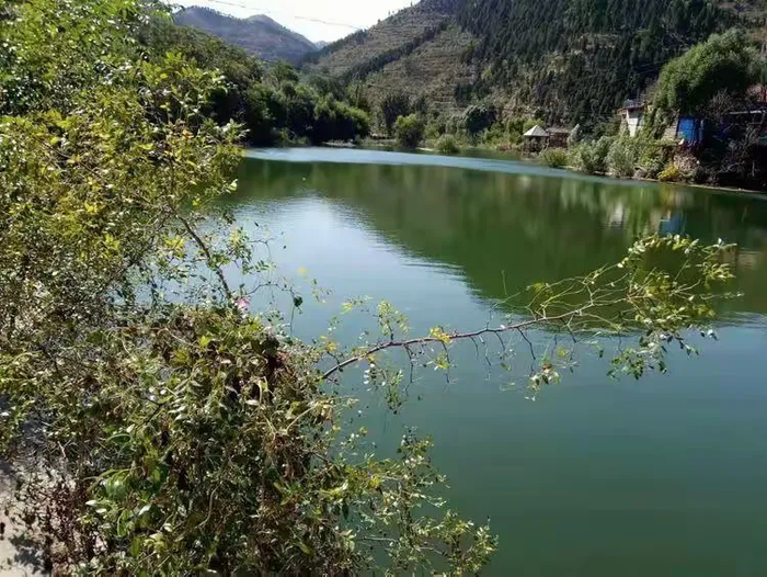 不藏了，摊牌了，这里才是夏天该去的地方！