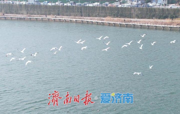 春日孟家水库风光旖旎，美成诗画