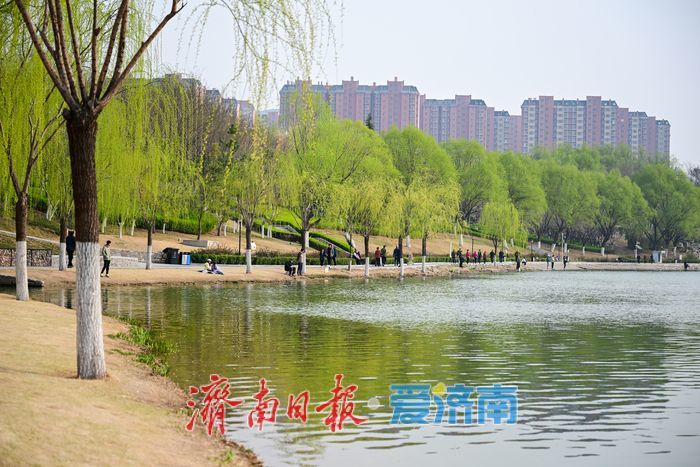 一年四季 泉在济南丨春日孟家庄水库：市民游客共享自然惬意时光