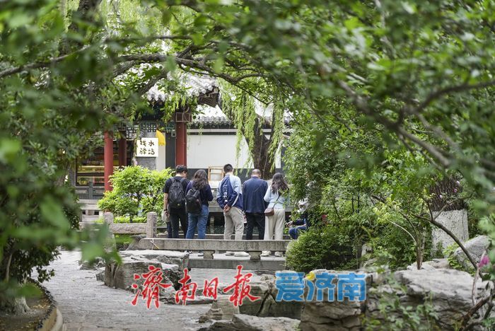 暮春时节绿意浓，济南五龙潭公园变身“绿野仙踪”