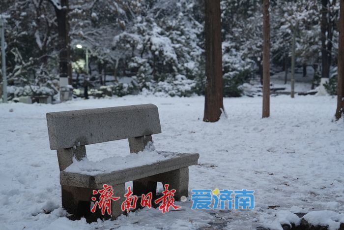 初雪勾勒“冰雪秘境” 泉城公园变身冬日热门打卡地