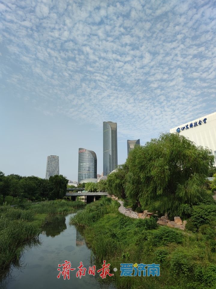 一年四季 泉在济南丨秋韵渐显 风轻云淡入画来